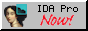 88x31 IDA Pro