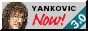 88x31 Yankovic Now! 3.0